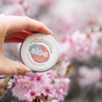Dentifrice solide nomade