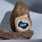Shampoing solide biodegradable